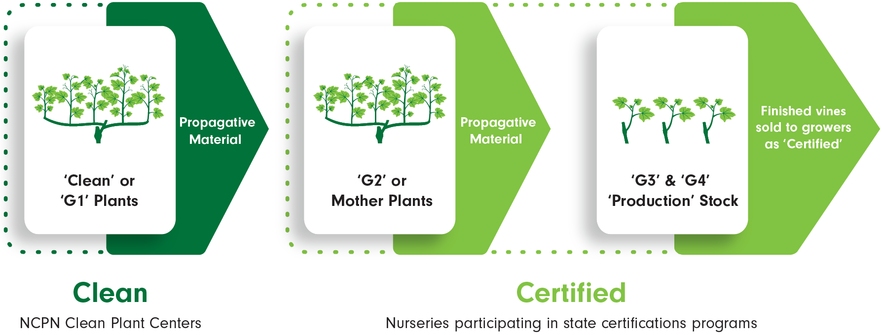 Certification Programs